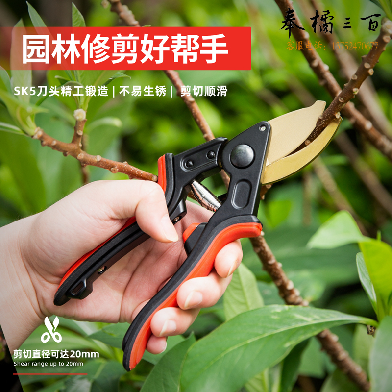 得力（deli） 20把/盒 SK5钢刀头树枝剪DL5802230-20mm树枝