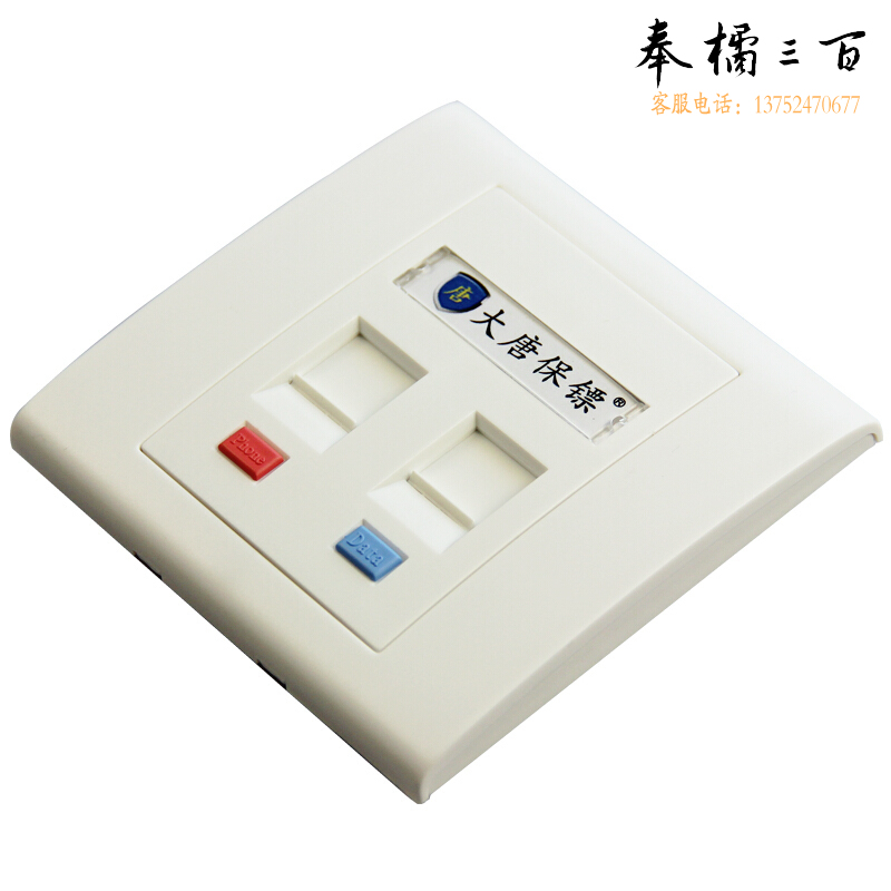 大唐保镖 双口网络面板 2口信息面板 DT2801-2