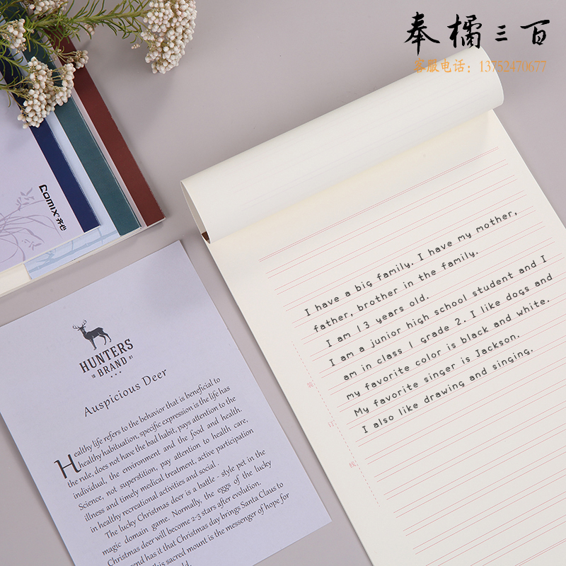 齐心（COMIX）C4895-3 双线信稿纸(3