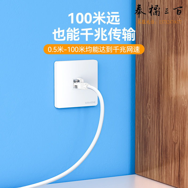 山泽（SAMZHE）BTM-6300 六类网线 白色 30米