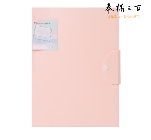 天顺 试卷夹试卷册 20页-莫兰迪色系-樱花粉204AB 1个装