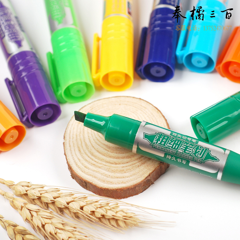 金万年（Genvana）彩色记号笔12色套装 彩色马克笔 美工笔POP海报笔 油性笔 绘图笔G-0966T 12色套装