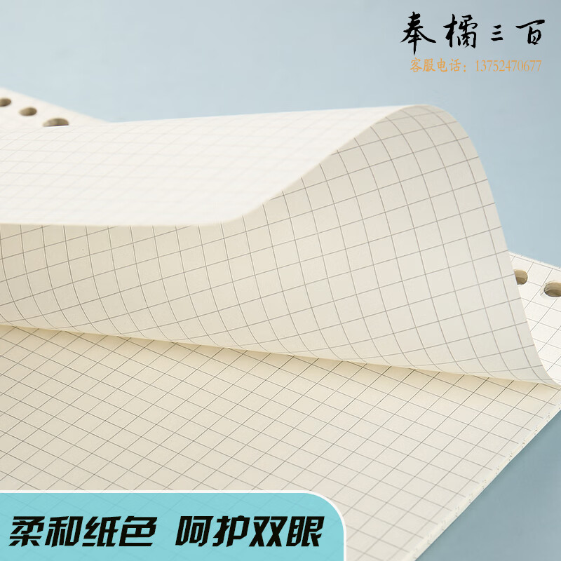 晨光（M&G） MPY9LU58文具B5 26孔活页本替芯 记事本笔记本本子 5*5mm方格替换内芯手账线圈纸 50张 考研
