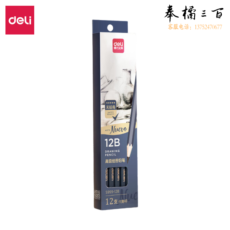 得力（deli） 高级美术绘图12B铅笔 学生素描速写铅笔 12支/盒 S999-12B【圣诞年货】