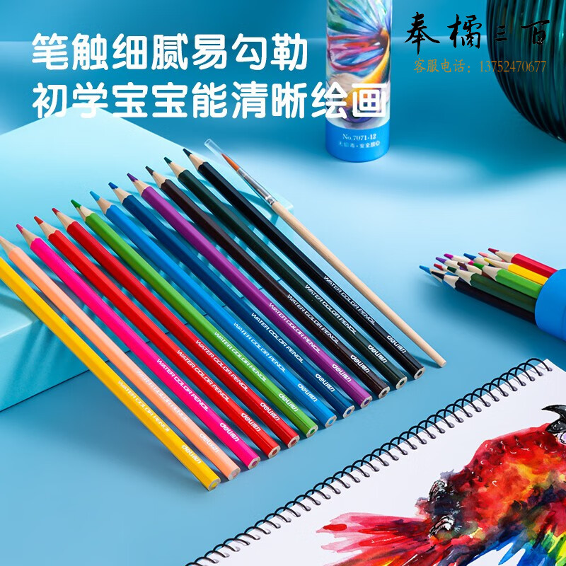 得力(deli) 12色水溶性彩铅 原木六角杆彩色铅笔 素描手绘初学者专业学生画笔套装 纸筒DL-7071-12五一出游六一儿童节