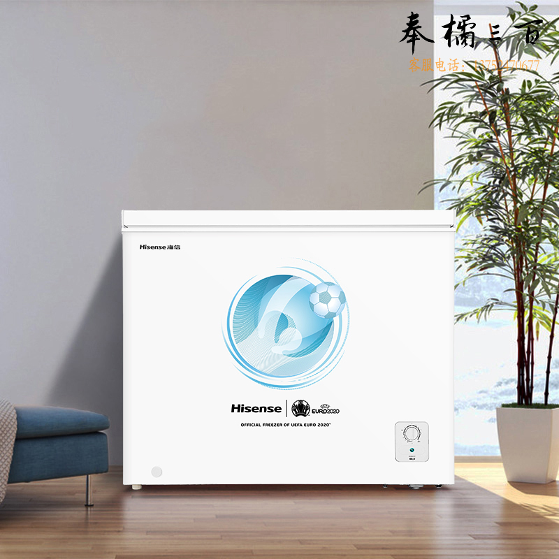 海信（Hisense）家用小型迷你冰柜  冷藏冷冻转换冷柜节能低噪节能BD/BC-202ND