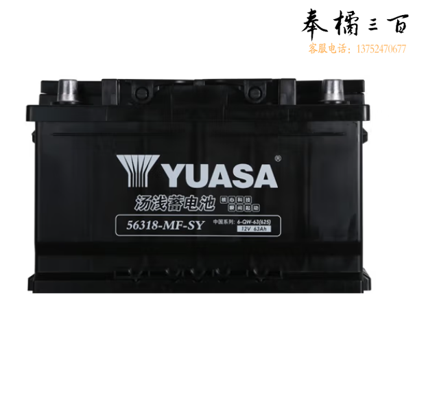 汤浅(Yuasa)汽车电瓶蓄电池56318-MF-SY 12V 63AH 适配车型：致胜福克斯