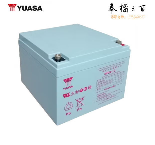 汤浅UPS不间断电源蓄电池 蓄能电池EPS应急电源 NP24-12(12V24AH)