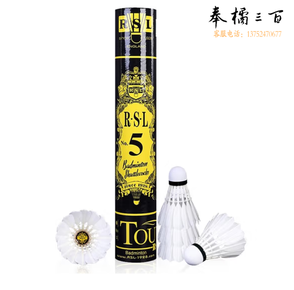 亚狮龙（RSL）羽毛球 日常训练稳定耐打RSL5号球76速