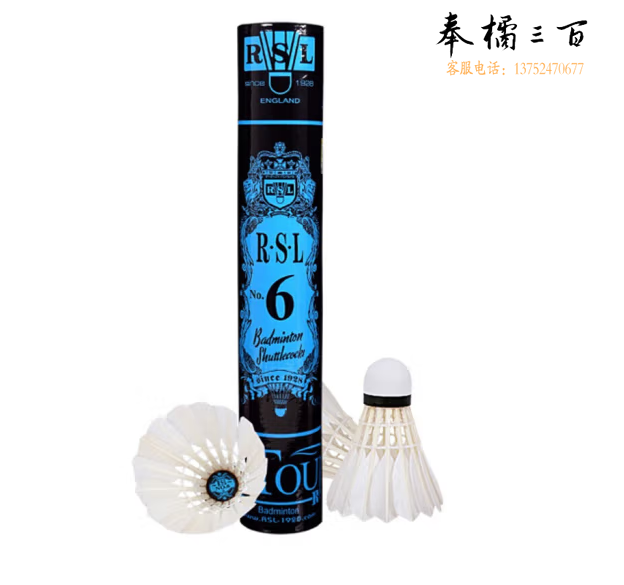 亚狮龙（RSL）羽毛球比赛训练稳定耐打RSL6号鸭毛76速12只装/桶