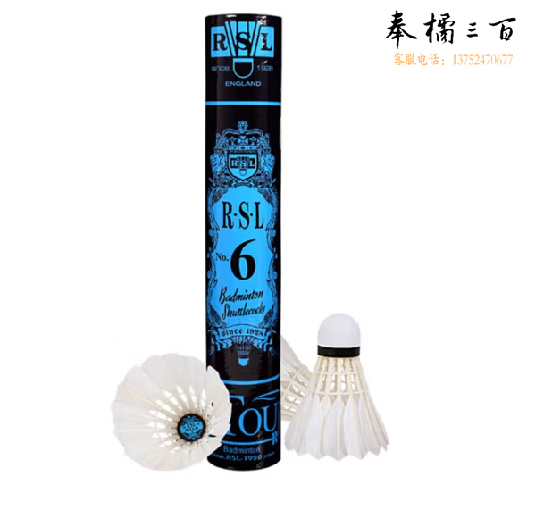 亚狮龙（RSL）羽毛球比赛训练稳定耐打RSL6号鸭毛77速12只装/桶