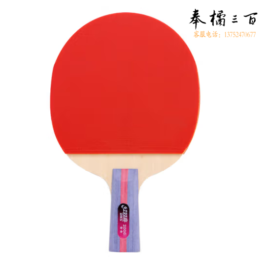 红双喜DHS二星直拍双面反胶乒乓球拍单拍成品兵兵拍H2006