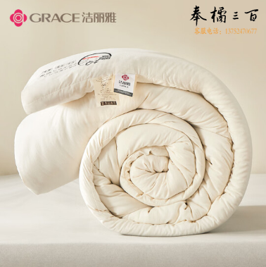 洁丽雅（Grace） 大豆被酒店被芯 春秋被被芯双人冬被四季通用 200*230cm 7斤