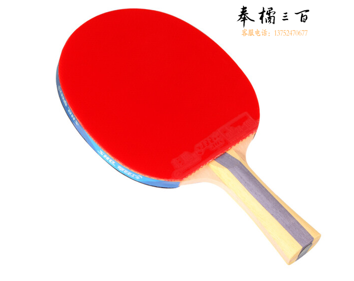 红双喜DHS狂飚五星乒乓球拍横拍双面反胶5层强攻H5002