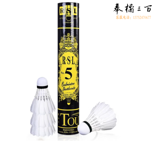 亚狮龙（RSL）羽毛球日常训练稳定耐打RSL5号77速