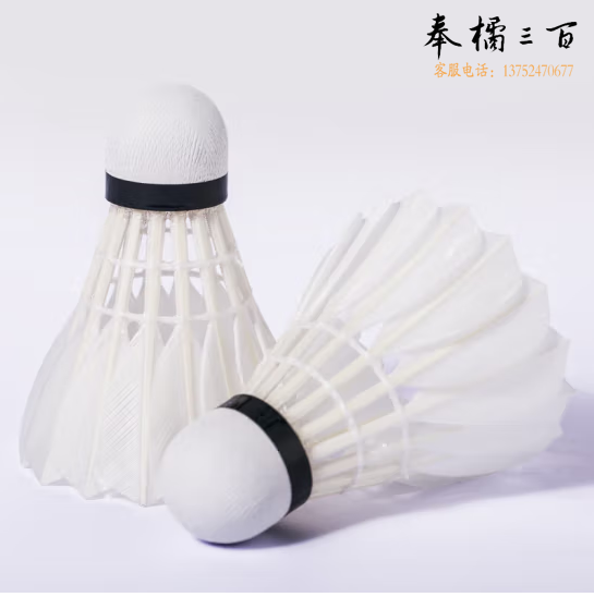亚狮龙（RSL）比赛鸭毛羽毛球训练稳定耐打羽球金冠C5号77速