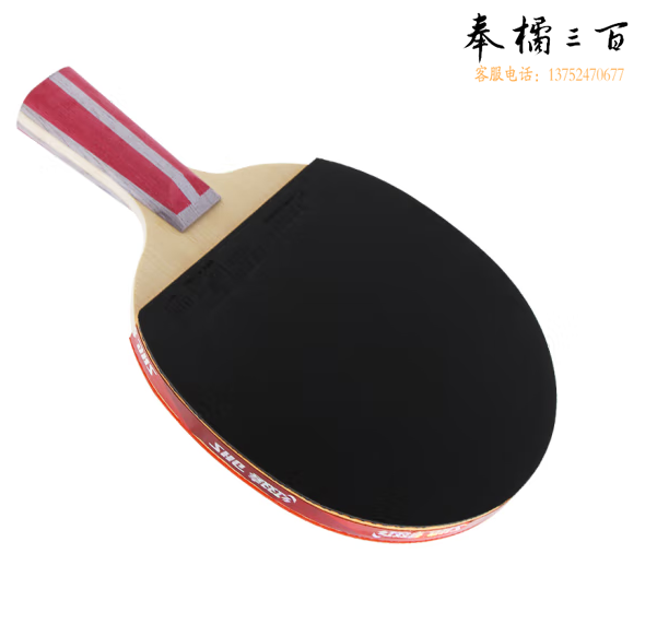 红双喜DHS狂飚四星直拍双面反胶乒乓球拍单拍成品拍H4006
