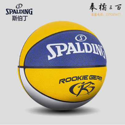  斯伯丁Spalding儿童5号青少年篮球轻量训练PU室内外通用76-893Y