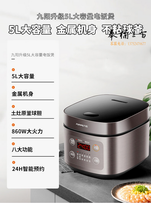 九阳（Joyoung）5L3~10人家用电饭煲电饭锅大火力柴火饭多功能焖煮铜匠厚釜内胆5升大容量饭煲50FZ821 