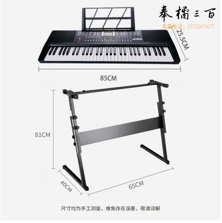  莫森（MOSEN）BD-665电子琴 61键双供电式 初学儿童教学多功能入门琴 Z架型 