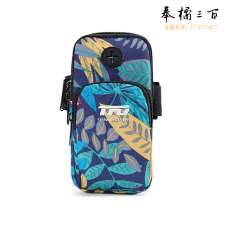 TFO 臂包 男女款户外运动臂包跑步运动腕套迷彩手机包C980001 彩蓝色 